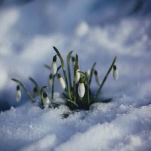 Meet your Posher, Marianne